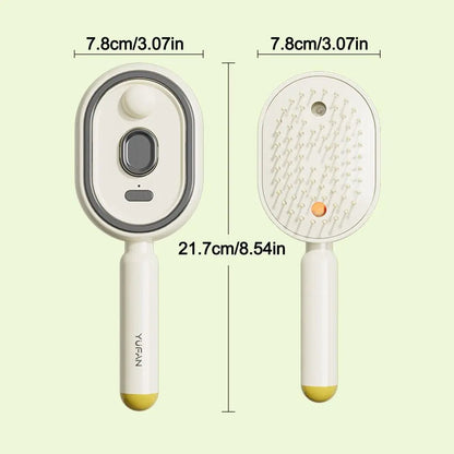 Brosse a Pulvérisation Pour Femme